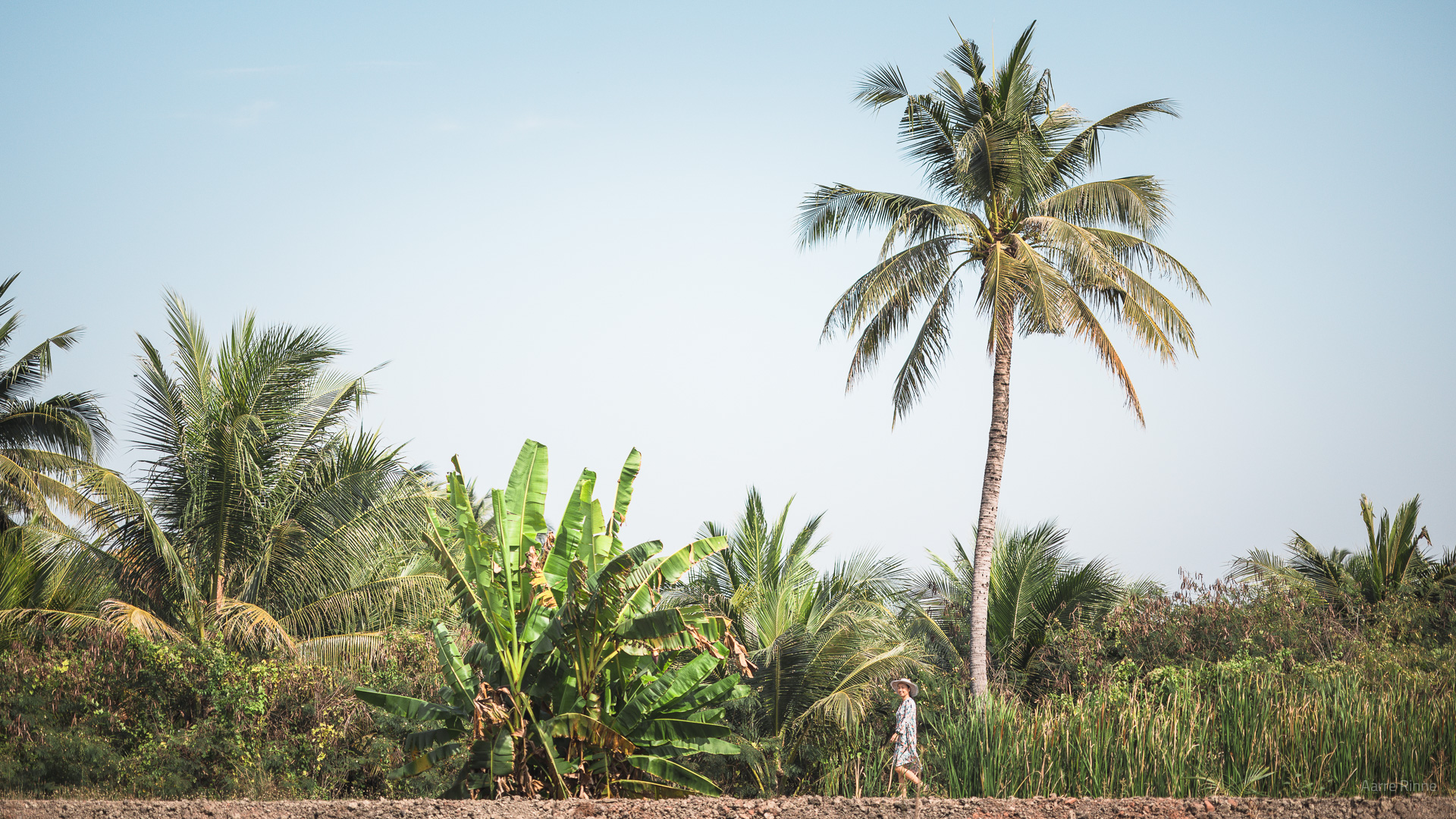 Damnoen Saduak, Thailand
